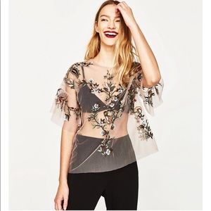 Zara rose embroidered mesh tulle top